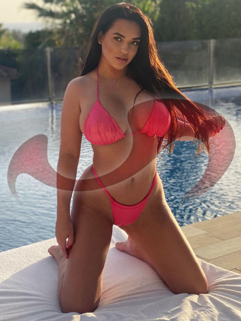 Privathuser | Bordell: Bild Adriana in Brunn am Gebirge