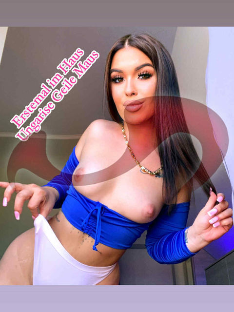 Girls | Models | Callgirls: Bild Karina, heie junge Ungarin ab 03.11  wieder im Laufhaus Liezen ! in Liezen