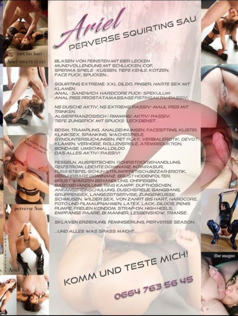 Girls | Models | Callgirls: Bild Ariel Sau in Wals/Salzburg