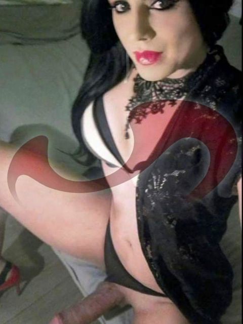 Transsexuelle | Shemales: Bild Trans Miranda wieder im Love Haus Leoben ! in Leoben