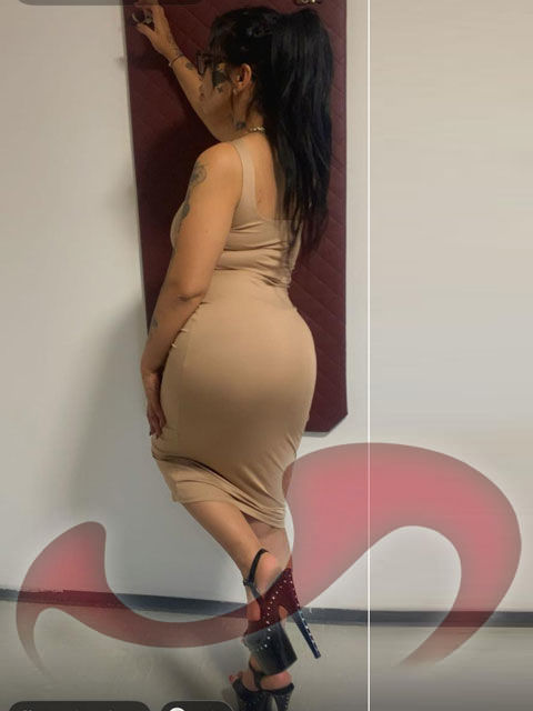 Girls | Models | Callgirls: Bild Laura - NEU IM HAUS! in Traun/Wegscheid