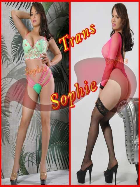 Transsexuelle | Shemales: Bild Trans Sophie in Graz