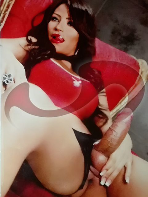 Transsexuelle | Shemales: Bild Ts Pamela  in Ottensheim