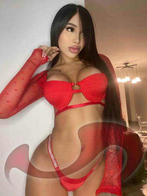 Transsexuelle | Shemales: Bild TS VIVI in Wien