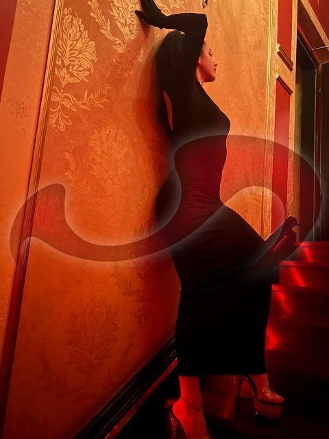 Girls | Models | Callgirls: Bild Elena in Graz