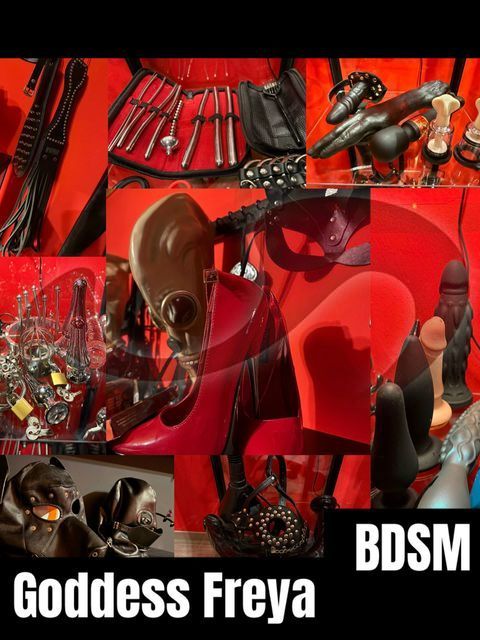 Girls | Models | Callgirls: Bild Goddess Freya, NEU in Salzburg