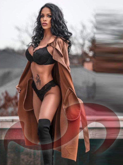 Girls | Models | Callgirls: Bild Cony Ferrara in Haid bei Ansfelden