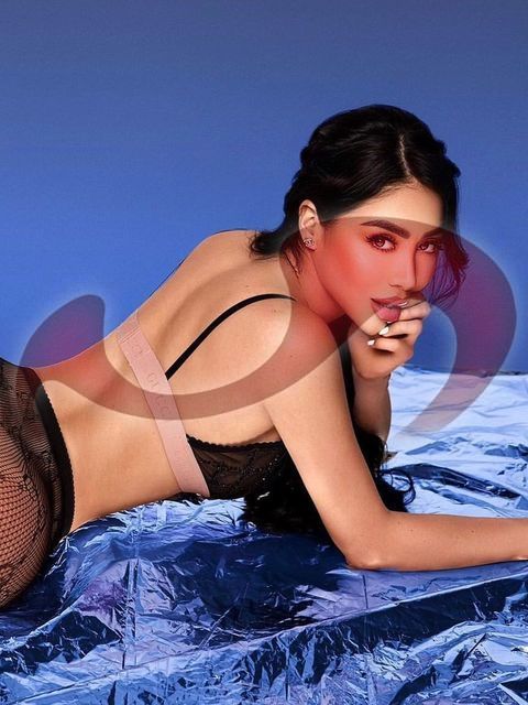 Girls | Models | Callgirls: Bild Sofia Top Latina NEU in Salzburg
