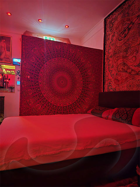 Studios Wien: Bild Privat-Luxus-Studio Sonja - Steirische Snde in Wien