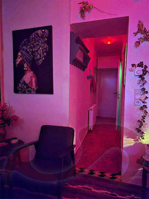 Studios Wien: Bild Privat-Luxus-Studio Sonja - Steirische Snde in Wien