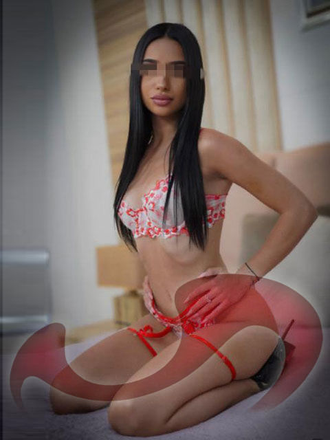 Girls | Models | Callgirls: Bild Nicole in Haid bei Ansfelden Girls | Models | Callgirls: Bild Nicole in Haid bei Ansfelden