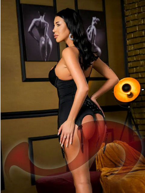 Girls | Models | Callgirls: Bild Alina in Wien