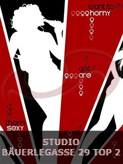  Studio Buerlegasse  in Wien  / Wien , Buerlegasse 29 