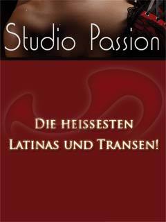 Studio Passion in Wien / Wien , Handelskai 208