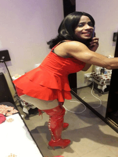 Trans Bianella Bronx 22 cm black aus Costa Rica aktiv/passiv in Steiermark / Graz ,