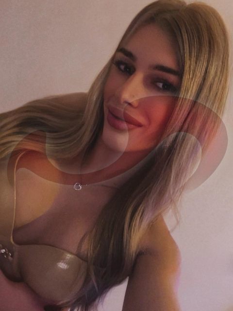  - Girls | Models | Callgirls:  TS Bianca  in Wien  / WIen , K�rnergasse 3 